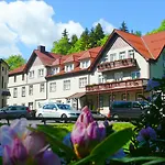 Waldhotel فندق فريدريشرودا