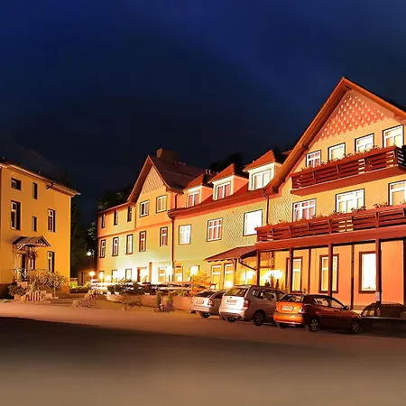 Otel Waldhotel 3*