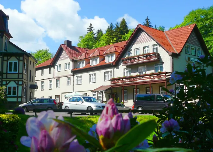 Waldhotel Hotel Friedrichroda