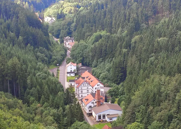 Waldhotel 3* Friedrichroda